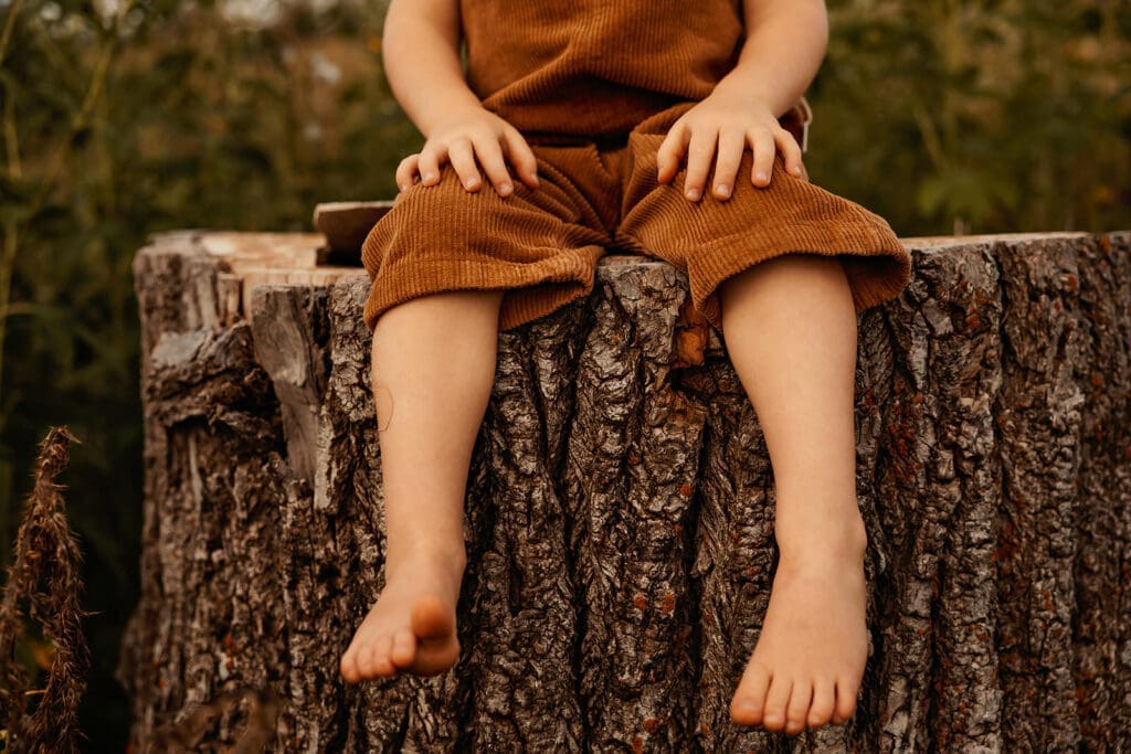 Little boys legs swinging from a tree stump during family photos in summer