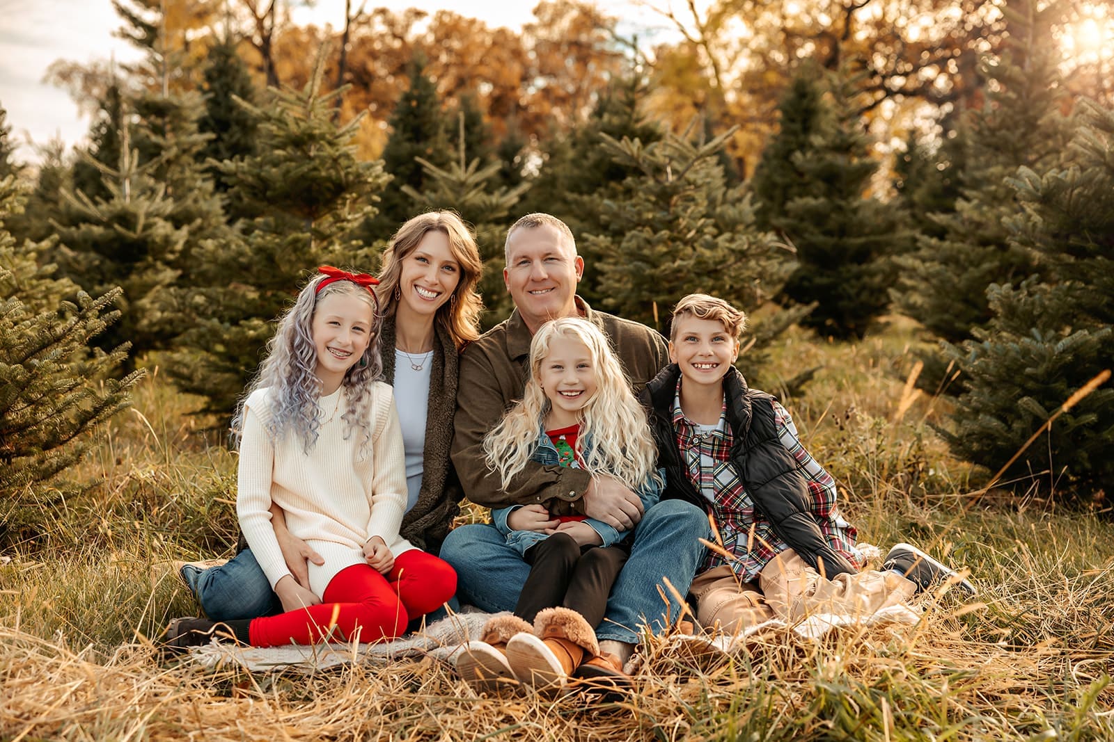 Christmas tree farm photos near Chicago at Richardson Farm Spring Grove IL