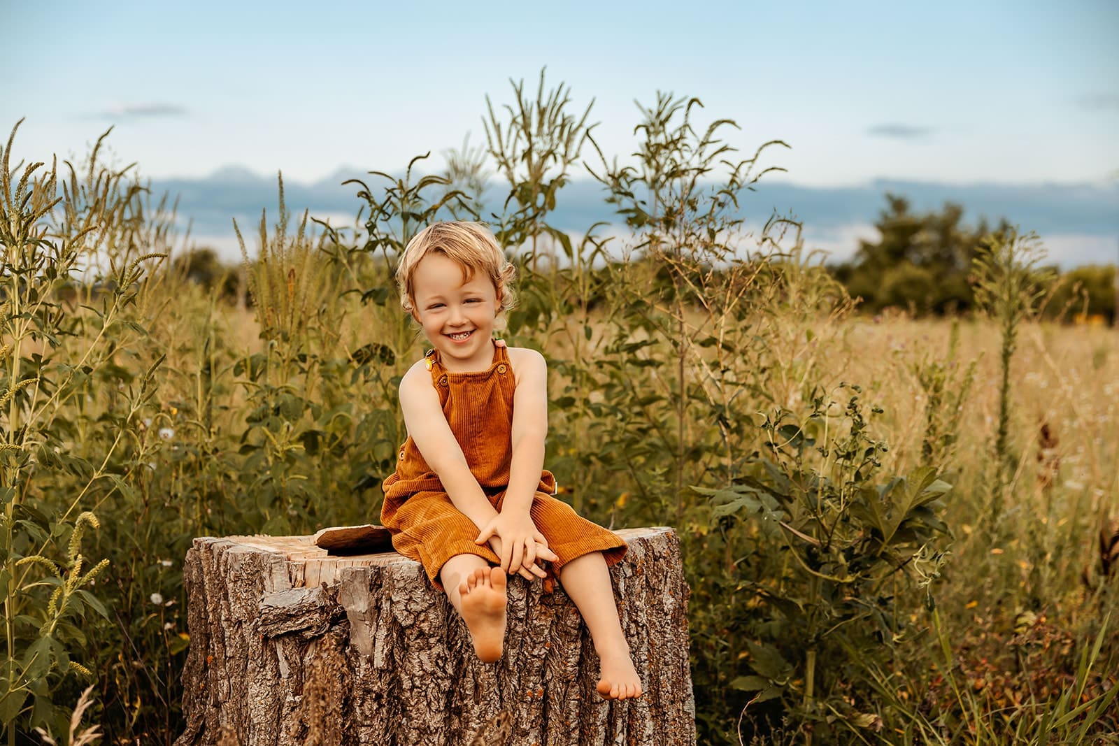 Little boy smiling while sitting on a tree stump during summer family photos